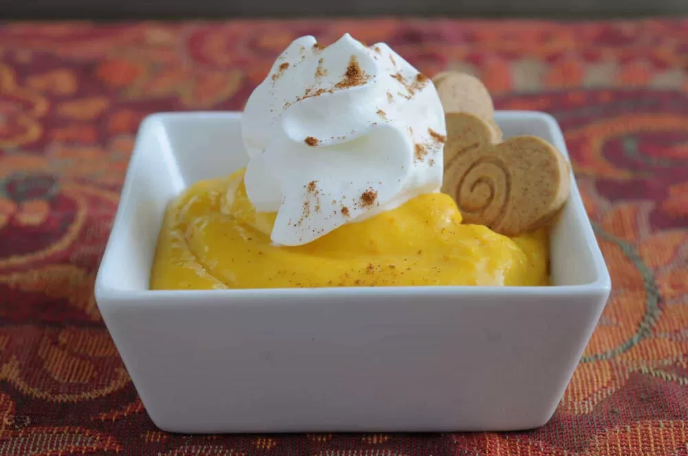 Easy Pumpkin Pudding | Shake That Weight