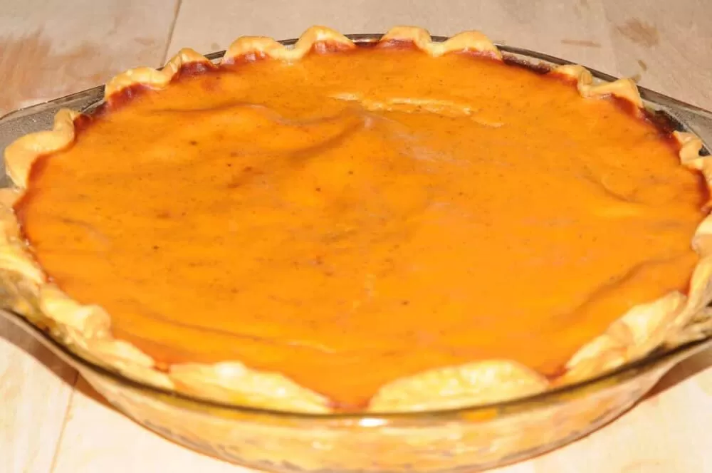 Best Light Pumpkin Pie | Shake That Weight