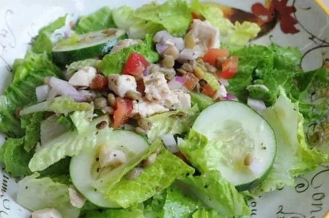 Greek Chicken Salad | Shake That Weight