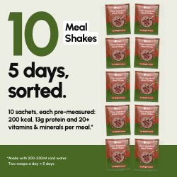 Chocolate meal replacement shakes, 10 meal pack - image PT06