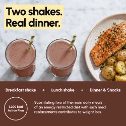 Chocolate meal replacement shakes, 10 meal pack - image PT03