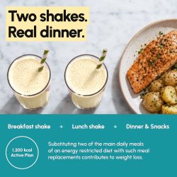 Lemon meal replacement shakes, 10 meal pack - image PT03