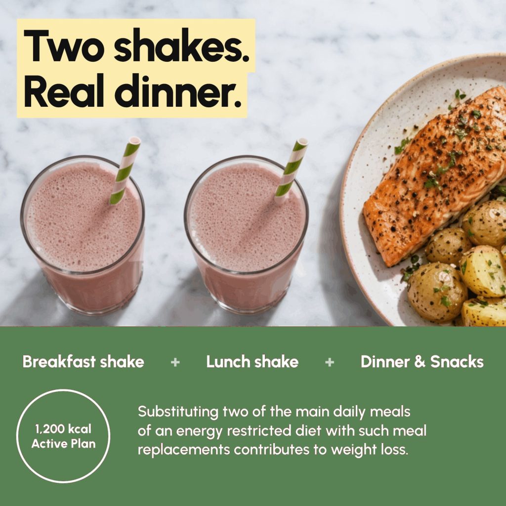 Mint meal replacement shakes, 10 meal pack - image PT03