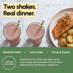 Mint meal replacement shakes, 10 meal pack - image PT03