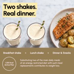 Vanilla meal replacement shakes, 10 meal pack - image PT03